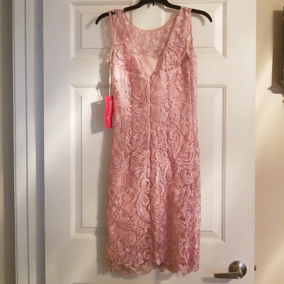 Dusty Rose Lace Short Dress - Picture 3 of 4